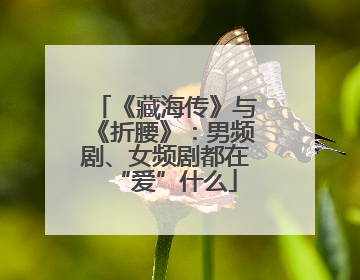 《藏海传》与《折腰》：男频剧、女频剧都在“爱”什么