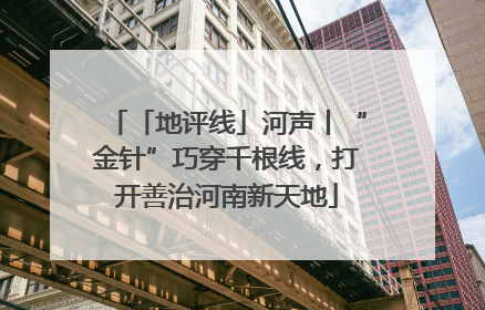 「地评线」河声丨“金针”巧穿千根线，打开善治河南新天地