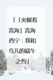 「央媒看青海」青海西宁：我和鸟儿的端午之约