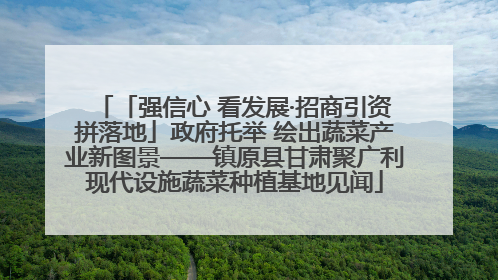 「强信心 看发展·招商引资拼落地」政府托举 绘出蔬菜产业新图景——镇原县甘肃聚广利现代设施蔬菜种植基地见闻