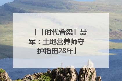 「时代脊梁」聂军：土地营养师守护稻田28年