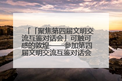 「聚焦第四届文明交流互鉴对话会」可触可感的敦煌——参加第四届文明交流互鉴对话会的外宾参观上元市集