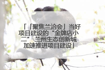「聚焦兰洽会」当好项目建设的“金牌店小二” 兰州生态创新城加速推进项目建设