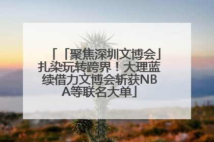 「聚焦深圳文博会」扎染玩转跨界！大理蓝续借力文博会斩获NBA等联名大单
