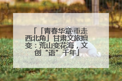 「青春华章·重走西北角」甘肃文旅嬗变：荒山变花海，文创“语”千年