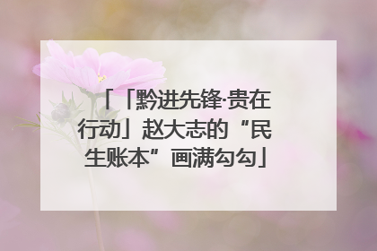 「黔进先锋·贵在行动」赵大志的“民生账本”画满勾勾