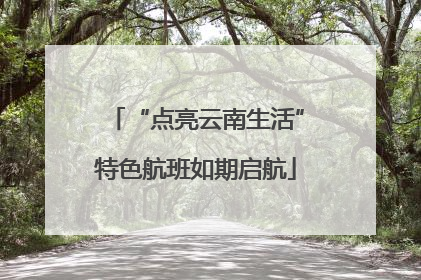 “点亮云南生活”特色航班如期启航