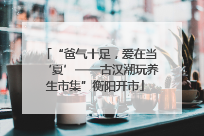 “爸气十足，爱在当‘夏’——古汉潮玩养生市集”衡阳开市