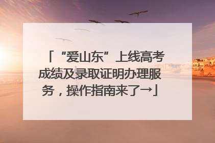“爱山东”上线高考成绩及录取证明办理服务，操作指南来了→