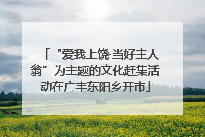 “爱我上饶·当好主人翁”为主题的文化赶集活动在广丰东阳乡开市