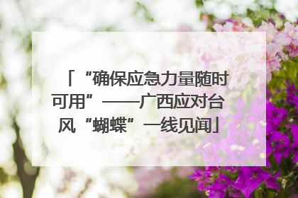 “确保应急力量随时可用”——广西应对台风“蝴蝶”一线见闻