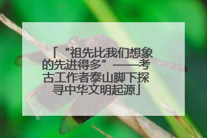 “祖先比我们想象的先进得多”——考古工作者泰山脚下探寻中华文明起源