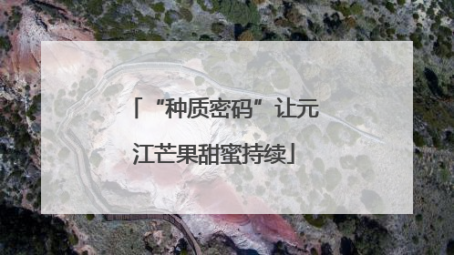 “种质密码”让元江芒果甜蜜持续