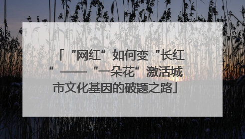 “网红”如何变“长红”——“一朵花”激活城市文化基因的破题之路