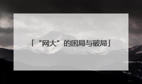 “网大”的困局与破局