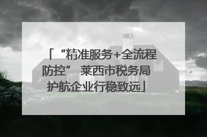 “精准服务+全流程防控” 莱西市税务局护航企业行稳致远