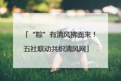 “粽”有清风拂面来！五社联动共织清风网