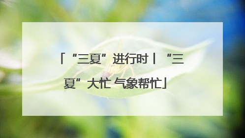 “三夏”进行时丨“三夏”大忙 气象帮忙