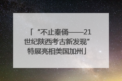 “不止秦俑——21世纪陕西考古新发现”特展亮相美国加州