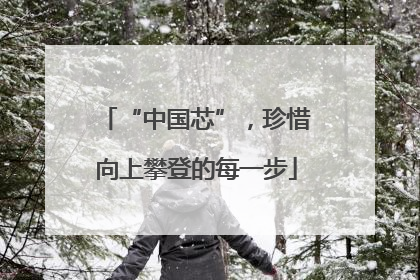“中国芯”，珍惜向上攀登的每一步