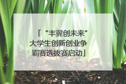 “丰翼创未来”大学生创新创业争霸赛选拔赛启动