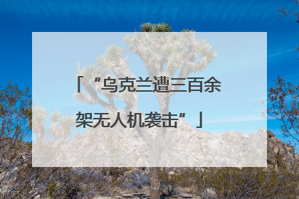 “乌克兰遭三百余架无人机袭击”