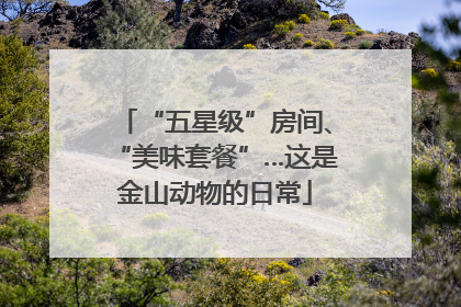 “五星级”房间、“美味套餐”…这是金山动物的日常