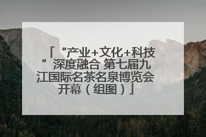 “产业+文化+科技”深度融合 第七届九江国际名茶名泉博览会开幕（组图）