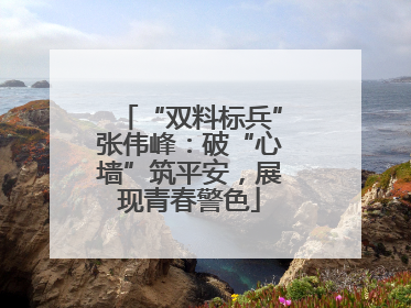 “双料标兵”张伟峰：破“心墙”筑平安，展现青春警色