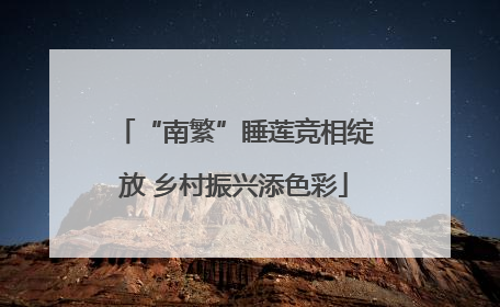 “南繁”睡莲竞相绽放 乡村振兴添色彩