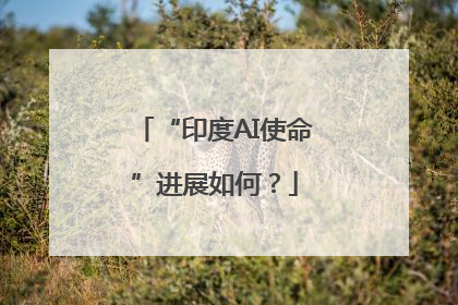 “印度AI使命”进展如何？