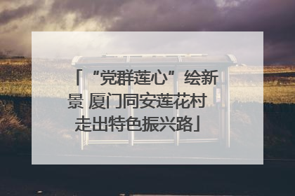 “党群莲心”绘新景 厦门同安莲花村走出特色振兴路