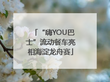 “嗨YOU巴士”流动餐车亮相海淀龙舟赛