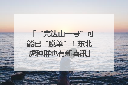 “完达山一号”可能已“脱单”！东北虎种群也有新喜讯