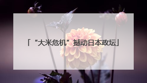 “大米危机”撼动日本政坛