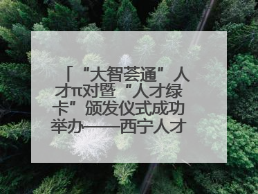 “大智荟通”人才π对暨“人才绿卡”颁发仪式成功举办——西宁人才周大通分会场亮点纷呈