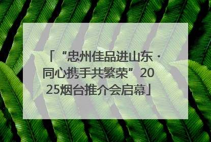 “忠州佳品进山东・同心携手共繁荣”2025烟台推介会启幕
