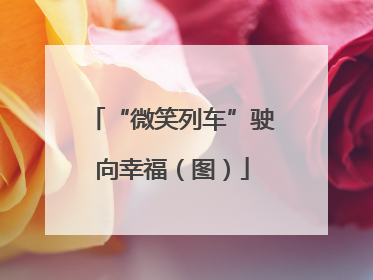 “微笑列车”驶向幸福（图）