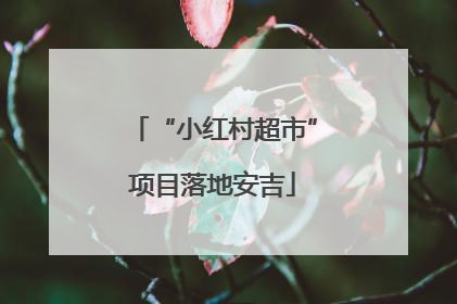 “小红村超市”项目落地安吉