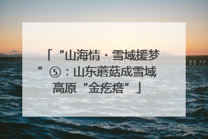 “山海情・雪域援梦”⑤：山东蘑菇成雪域高原“金疙瘩”