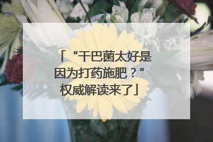 “干巴菌太好是因为打药施肥？”权威解读来了