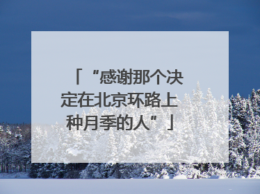 “感谢那个决定在北京环路上种月季的人”