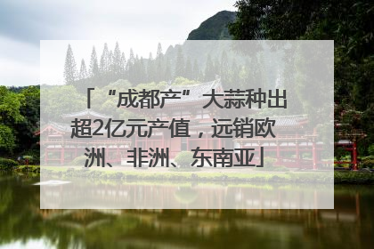“成都产”大蒜种出超2亿元产值，远销欧洲、非洲、东南亚