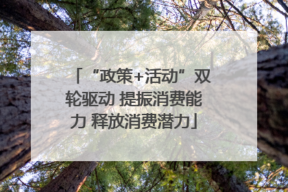 “政策+活动”双轮驱动 提振消费能力 释放消费潜力