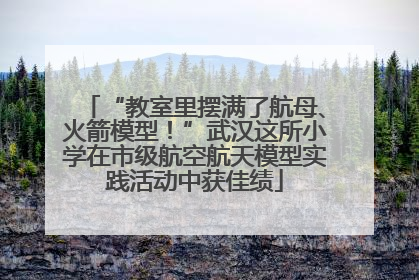 “教室里摆满了航母、火箭模型！”武汉这所小学在市级航空航天模型实践活动中获佳绩