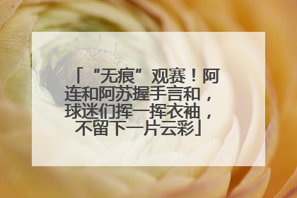 “无痕”观赛！阿连和阿苏握手言和，球迷们挥一挥衣袖，不留下一片云彩