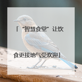“智慧食堂”让饮食更接地气受欢迎