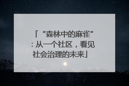 “森林中的麻雀”：从一个社区，看见社会治理的未来