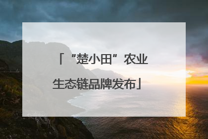“楚小田”农业生态链品牌发布