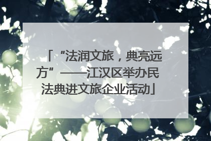“法润文旅，典亮远方”——江汉区举办民法典进文旅企业活动